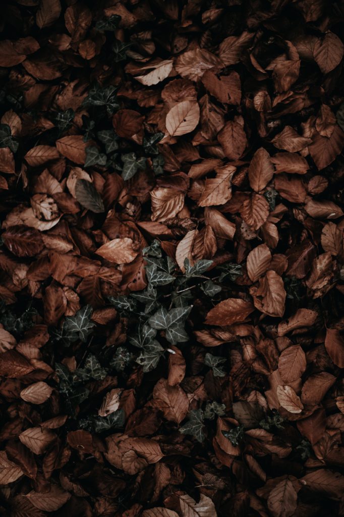Counseling for Depression