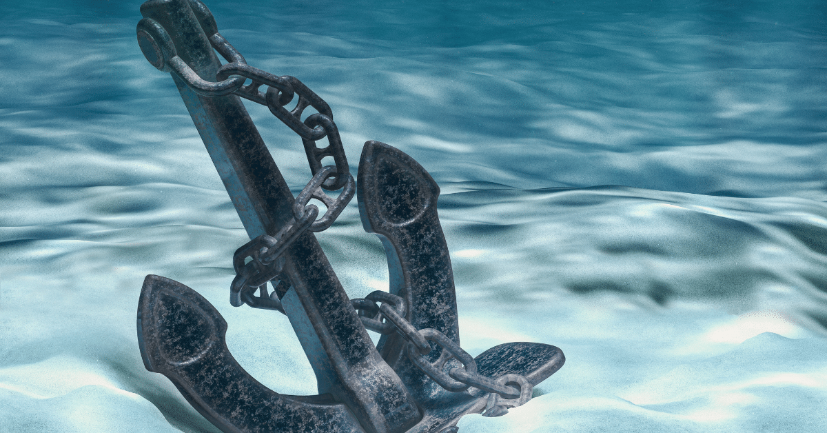 Dropping Anchor to Survive Big Emotions