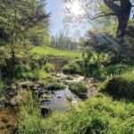 farm creek