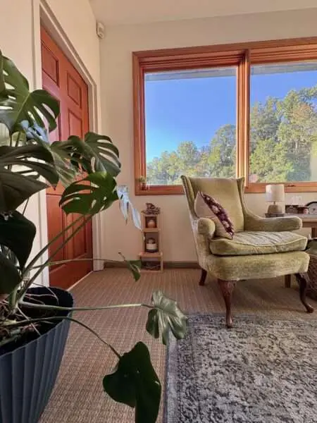 Calm photo of a therapy room including plants, a large window, and a green chair.